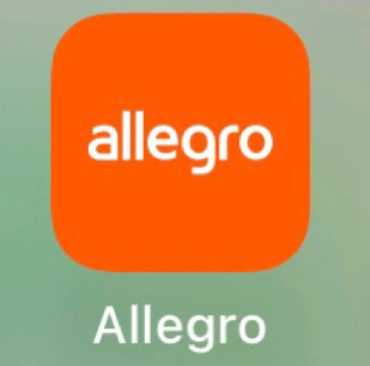 allegro的env快捷键失效